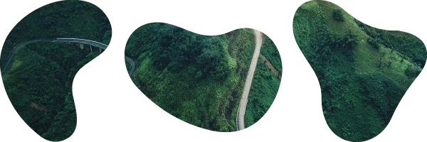 Luchtfoto van een bos